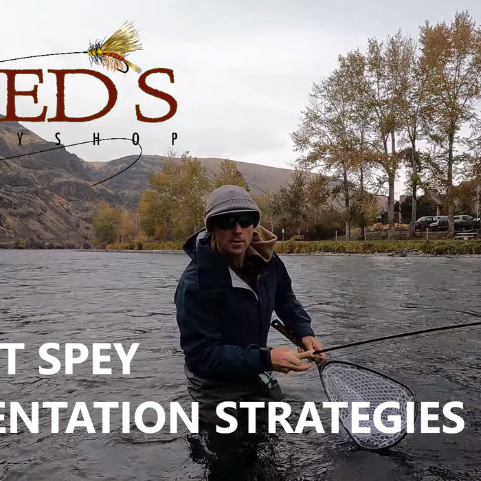 Trout Spey School // Part 2 - Presentation Tips and Strategies