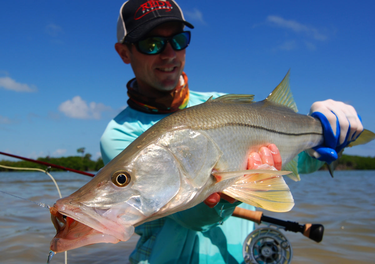 Snook 101 // How to Fly Fish for Snook — Red's Fly Shop