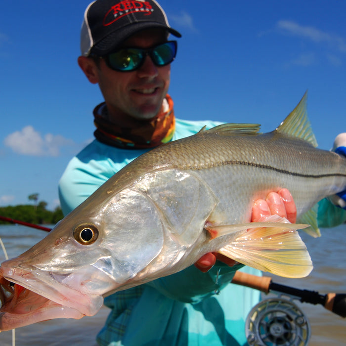 Snook 101 // How to Fly Fish for Snook