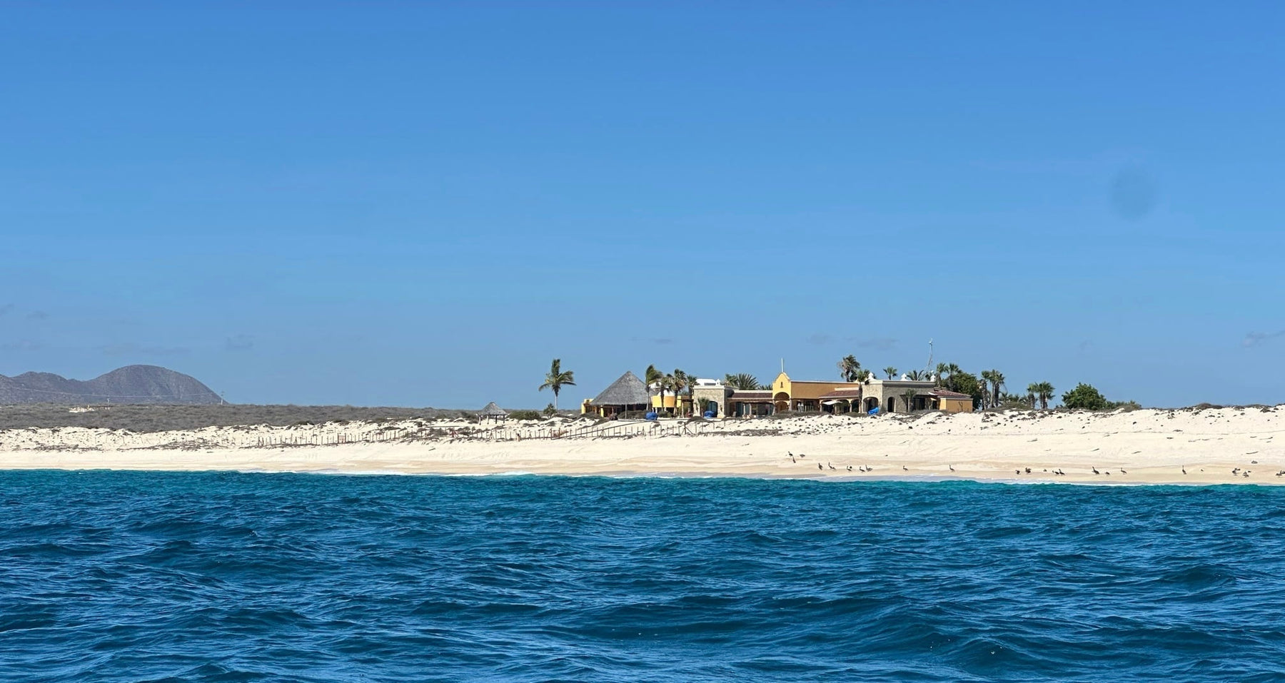 Red’s Baja Trip Report 2025