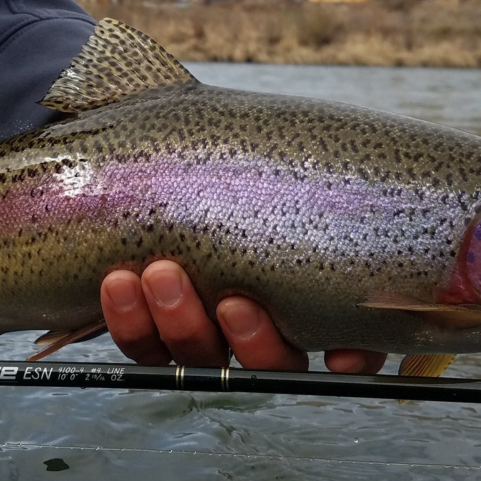 Yakima River Conditions and Fishing Report // January 13th