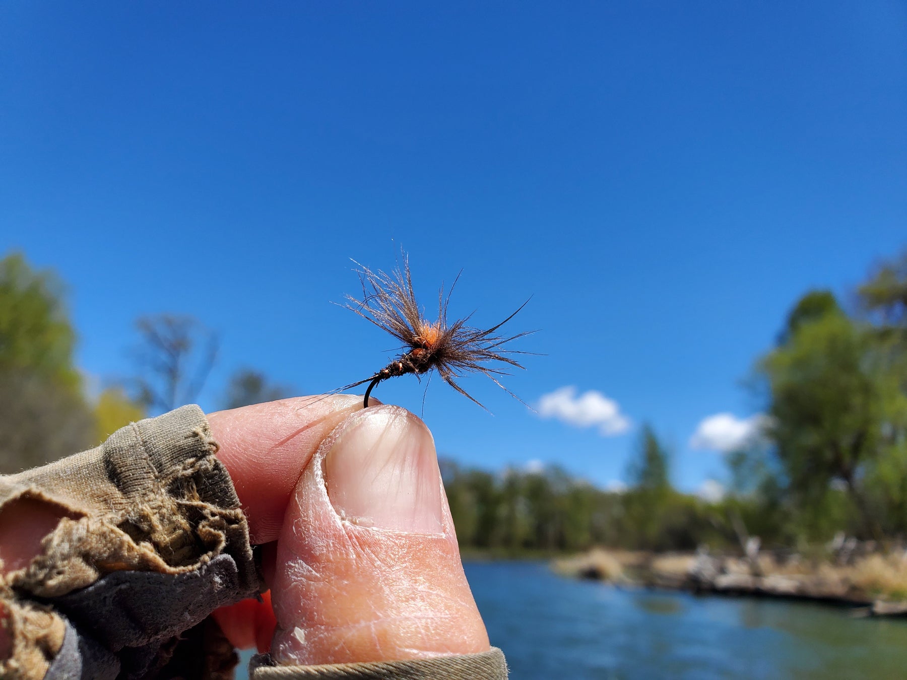 Tip of the Week:  Fish a small dry/emerger as a trailing fly to a bigger dry.