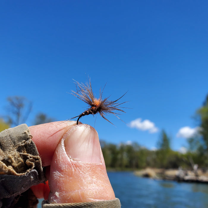 Tip of the Week:  Fish a small dry/emerger as a trailing fly to a bigger dry.
