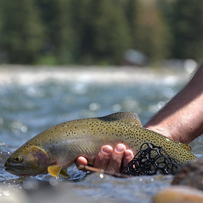 YAKIMA RIVER CONDITIONS AND REPORT // August 6th, 2026