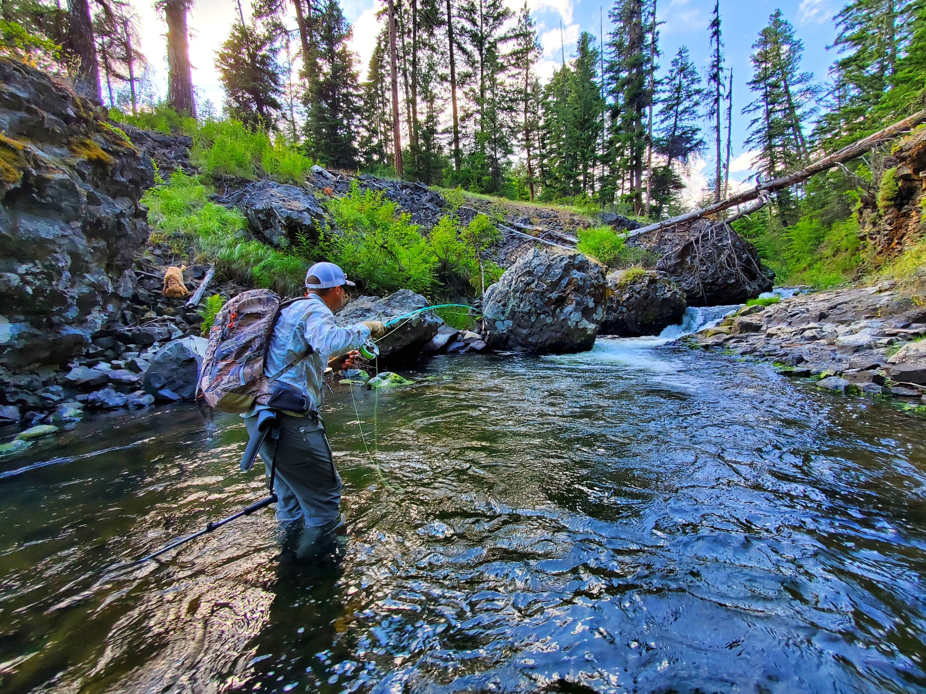 Mastering Small Creek Fishing with Tiny Rods and Terrestrial Dry Flies