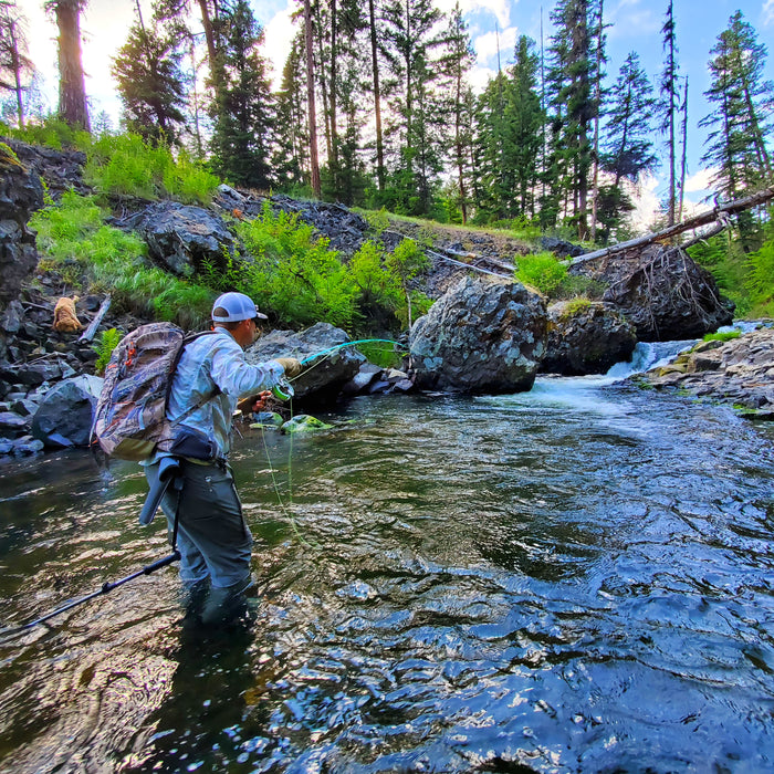 Mastering Small Creek Fishing with Tiny Rods and Terrestrial Dry Flies