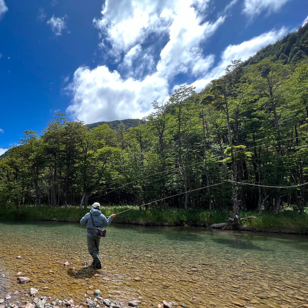 Defeating the Wind // Patagonia or Belgian Style Casting — Red's Fly Shop