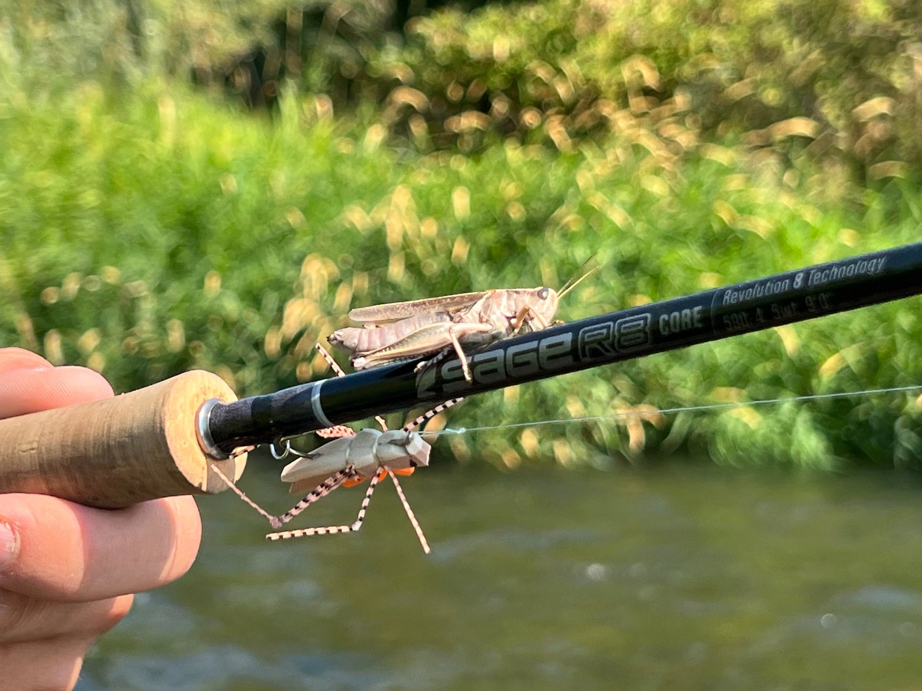 YAKIMA RIVER CONDITIONS AND REPORT // JULY 30TH, 2026