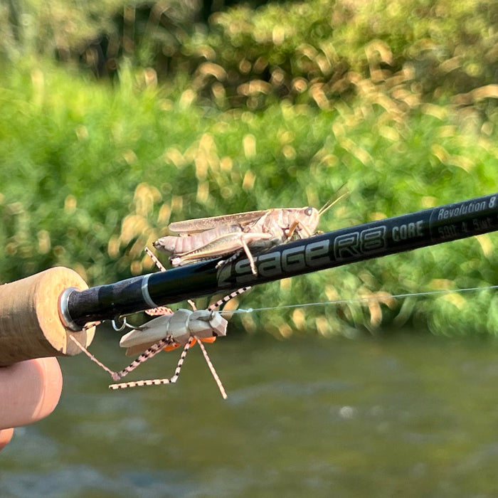 echo fly rods and reels red's fly shopred's fly shop TR2 Spey Rod 4wt 11'3" Flips vision pushed ECHO beyond traditional design limits Echo Ion 2/3 Spool