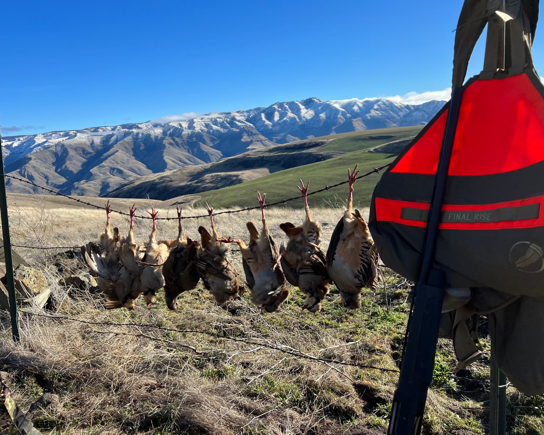 Upland Hunting // Off Season Prep work