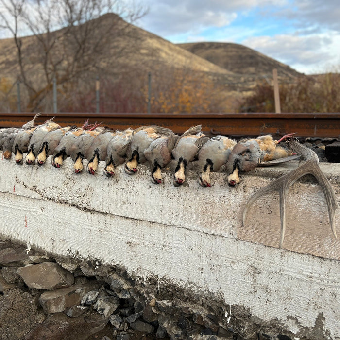 Chukar Recipe: White Chukar Chili