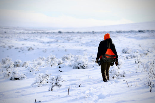 Late-Season Upland Hunting Report: Eastern Washington