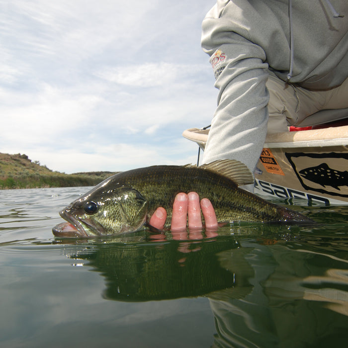 Tip of the Week // Master the "Spaghetti Pile" For Lake Fishing