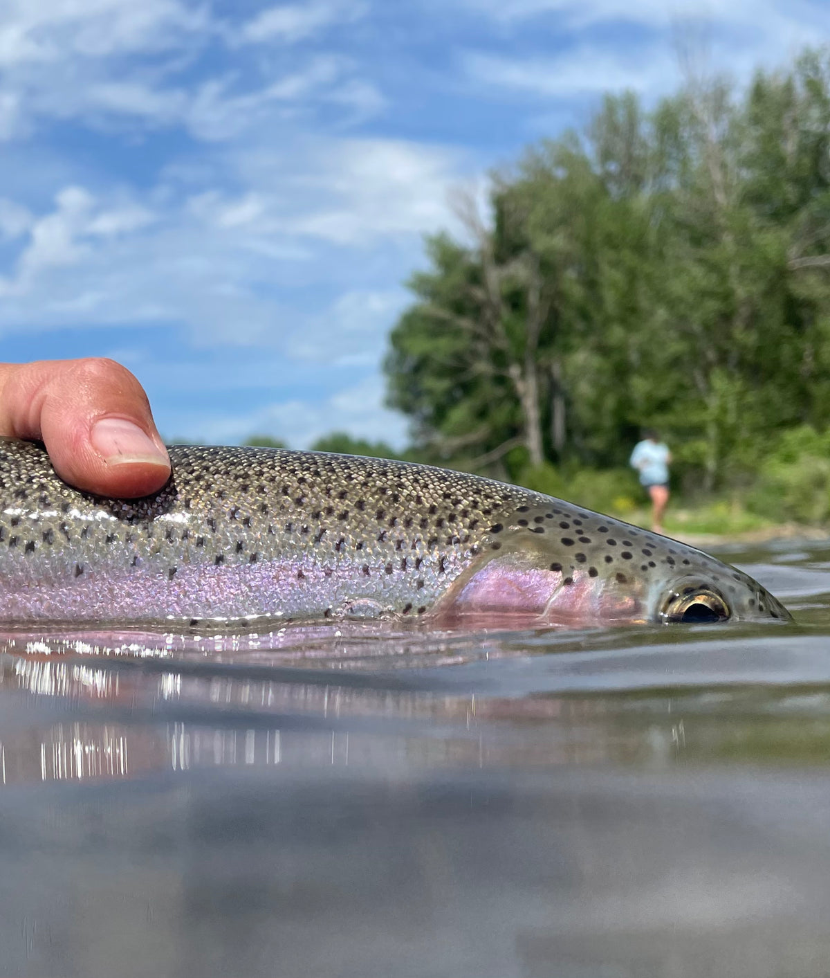Tip of the Week - Match the Hatch (subsurface edition) — Red's Fly Shop