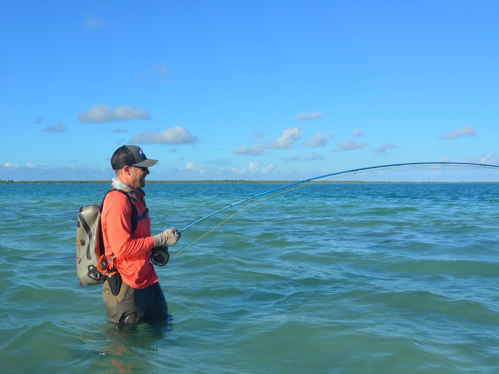 What is The Difference Between Saltwater and Freshwater Rods?