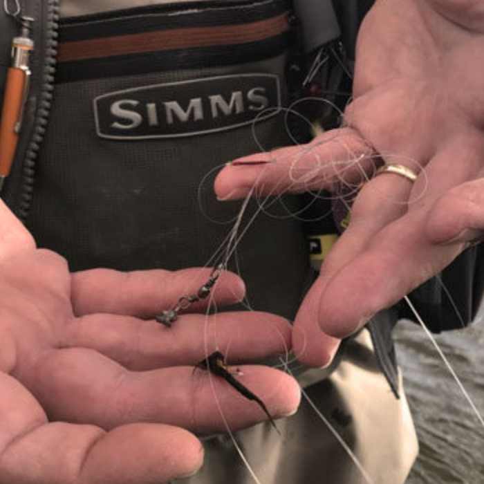 Tip of the Week // What To Do With Tangled Set-Ups