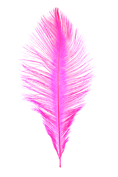 Ostrich Plumes by MFC