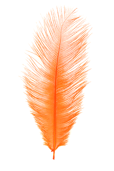 Ostrich Plumes by MFC