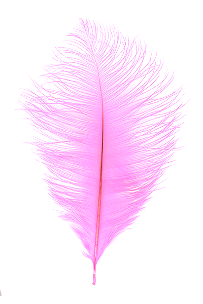 Ostrich Plumes by MFC