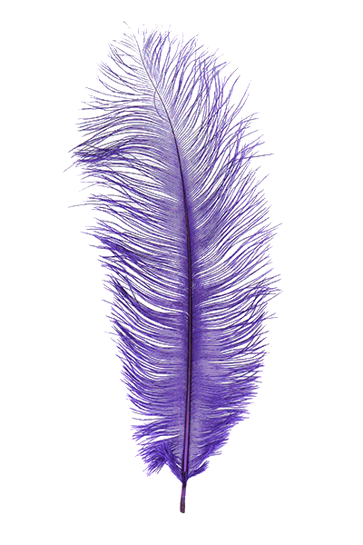 Ostrich Plumes by MFC