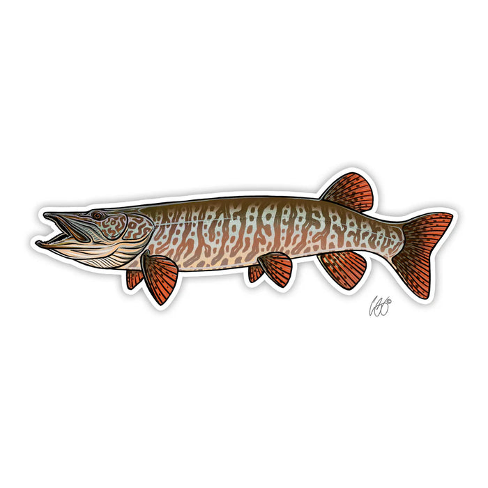 Casey Underwood Tiger Muskie Decal