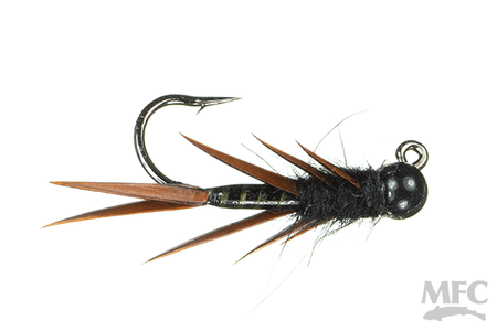 STONEFLY NYMPHS