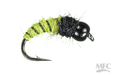 Bead Head Caddis Pupa By Montana Fly Co