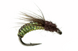 Silverman's Caddis Larva 