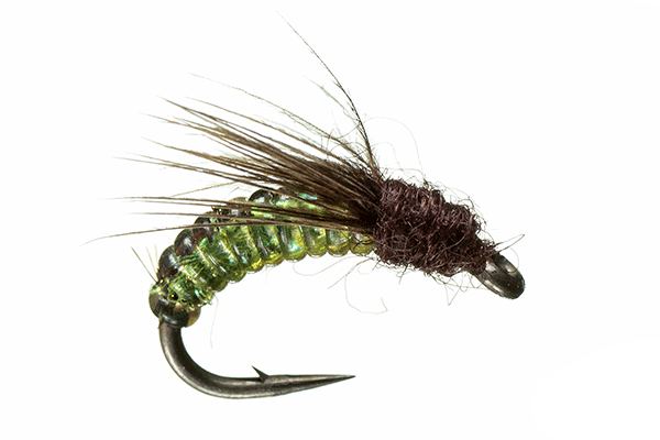 Silverman's Caddis Larva by Montana Fly Company #16