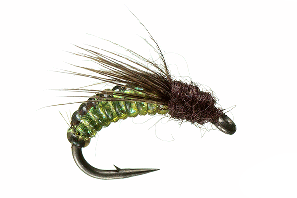 Silverman's Caddis Larva by Montana Fly Company