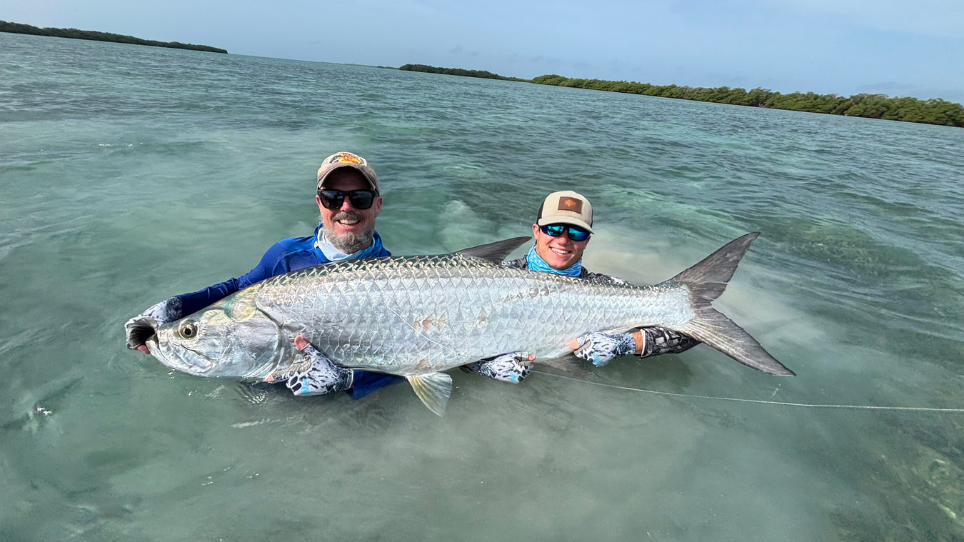 El Pescador Belize Tarpon Fishing