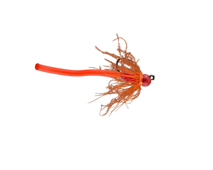 RIO's Worm Farm