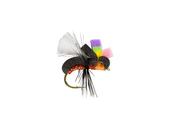 RIO's Glo Ant