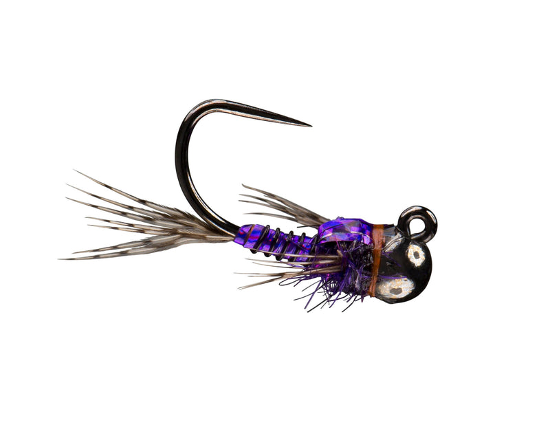 RIO's Morrish Sparkle Donkey TB