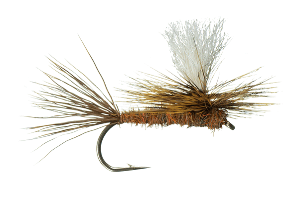 Brindle Chute by Montana Fly Company