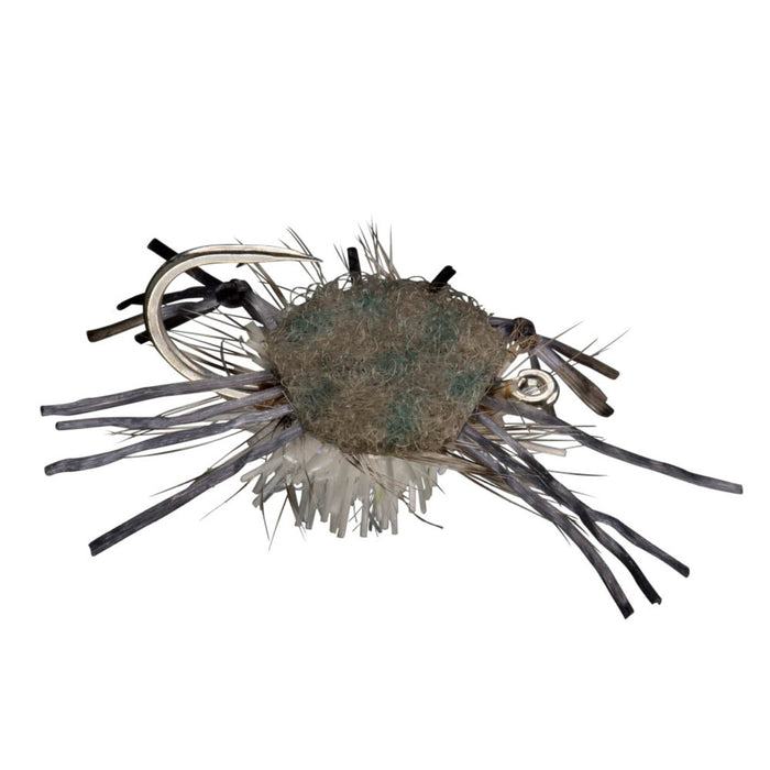 RIO's Prize Fighter Lightweight