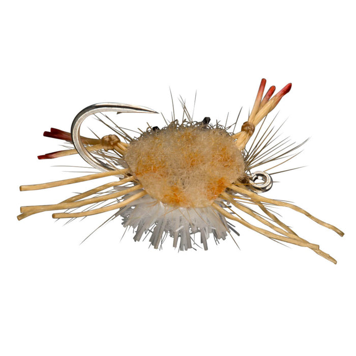 RIO's Prize Fighter Lightweight