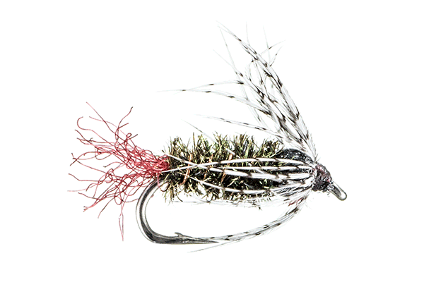 BH Soft Hackle by Montana Fly Company