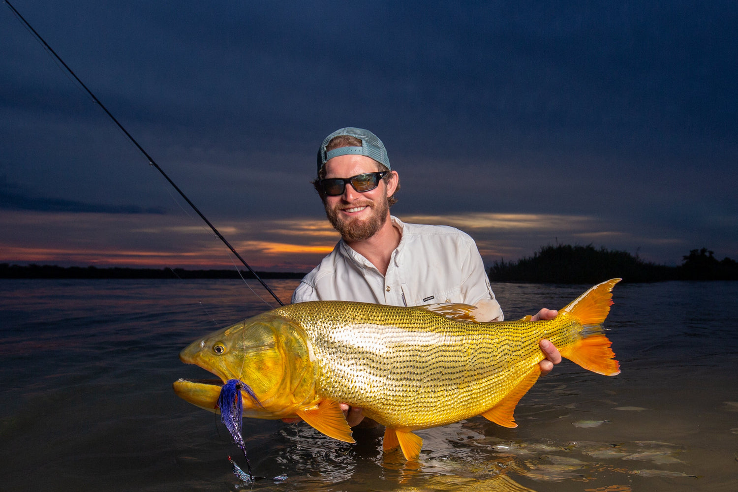Golden Dorado Fly Fishing Trip in Argentina