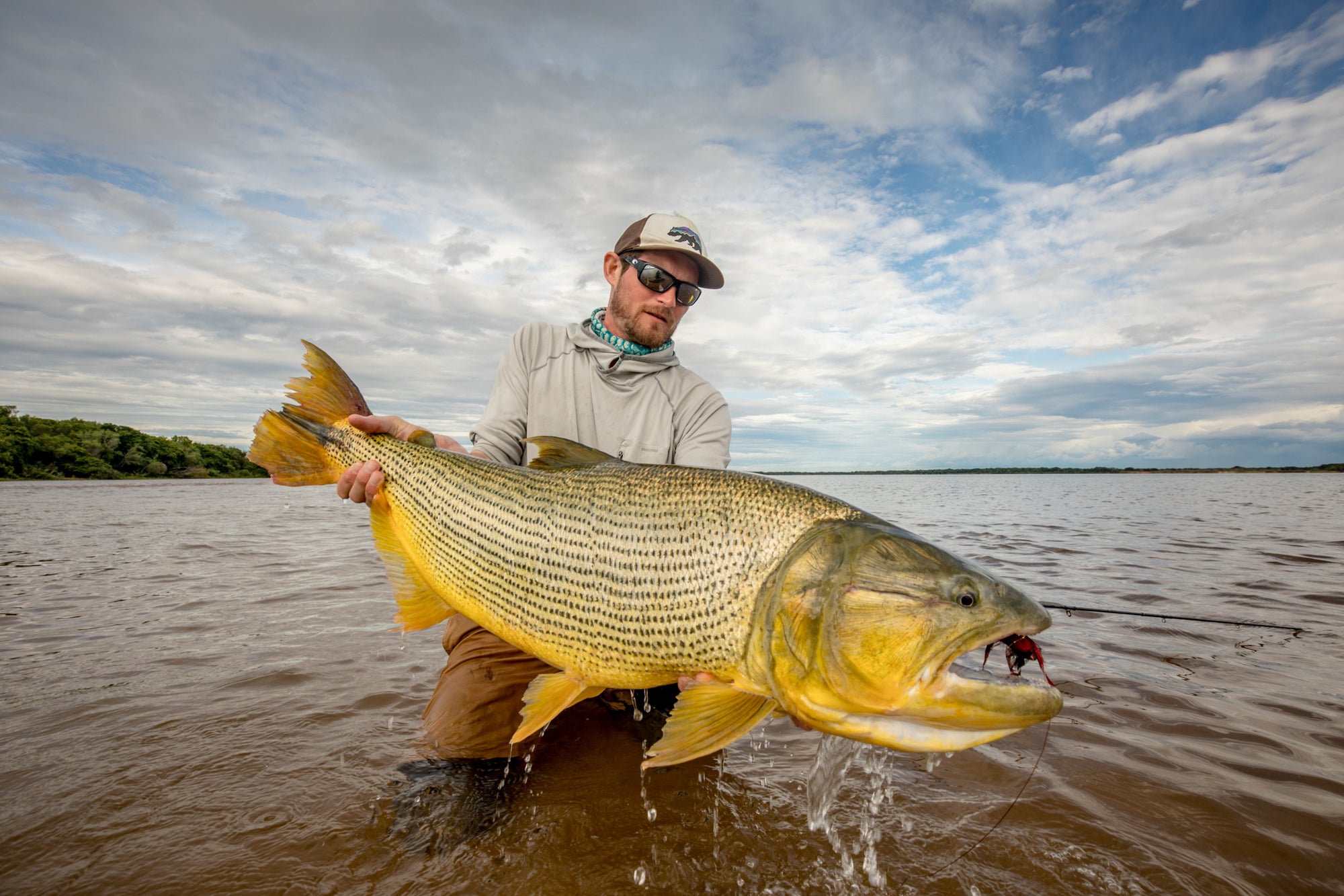 Golden Dorado Fly Fishing Trip in Argentina