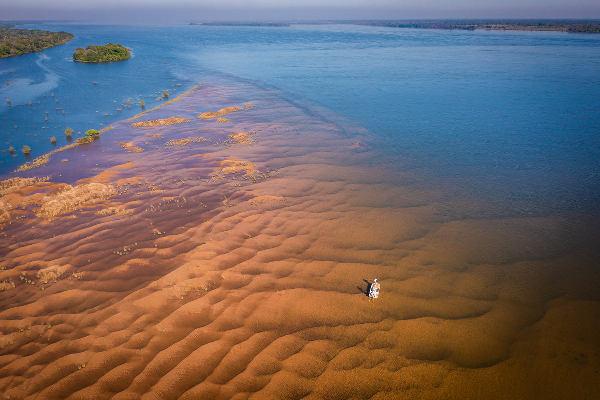 Golden Dorado Fly Fishing Trip in Argentina
