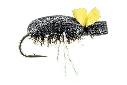 Foam Beetle by Montana Fly Company
