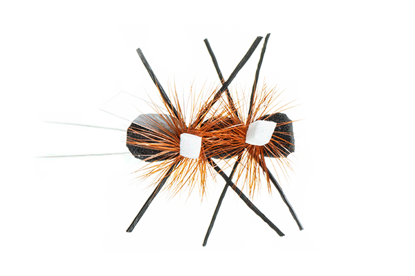 Green River Flying Ant by Montana Fly Company