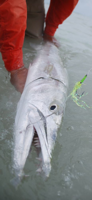 Ascension Bay | Complete Fly Kit for Permit, Tarpon, Bonefish, Cuda, Snook