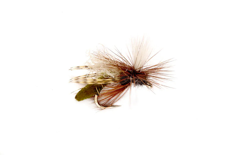 Spotlight Caddis Emerger By Fulling Mill