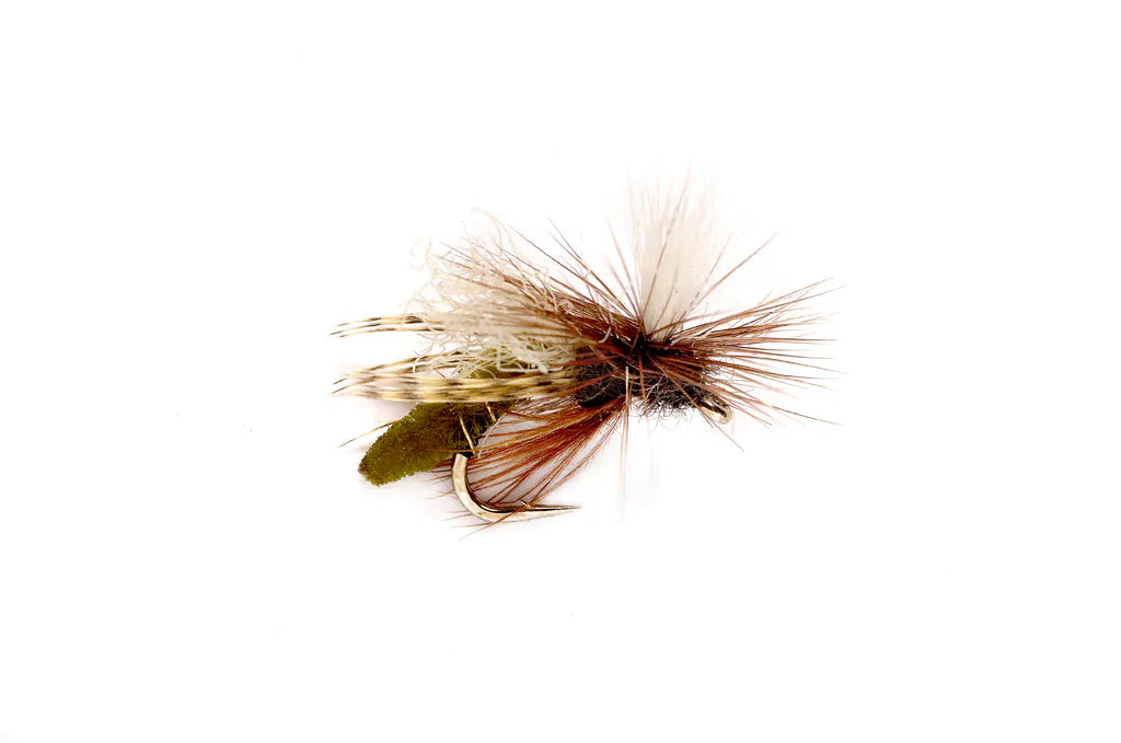 Spotlight Caddis Emerger By Fulling Mill