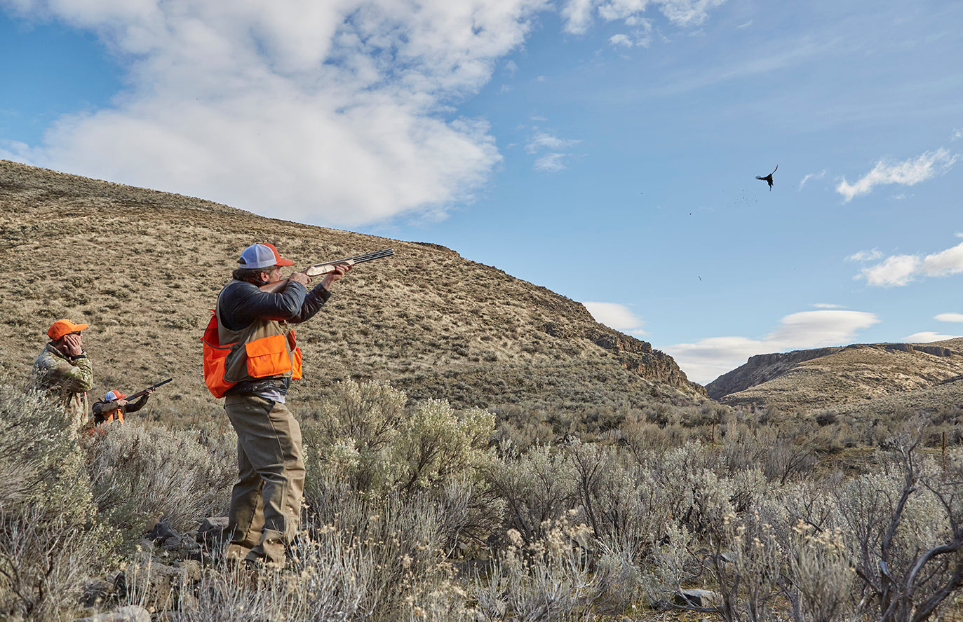 Guided Pheasant Hunts 