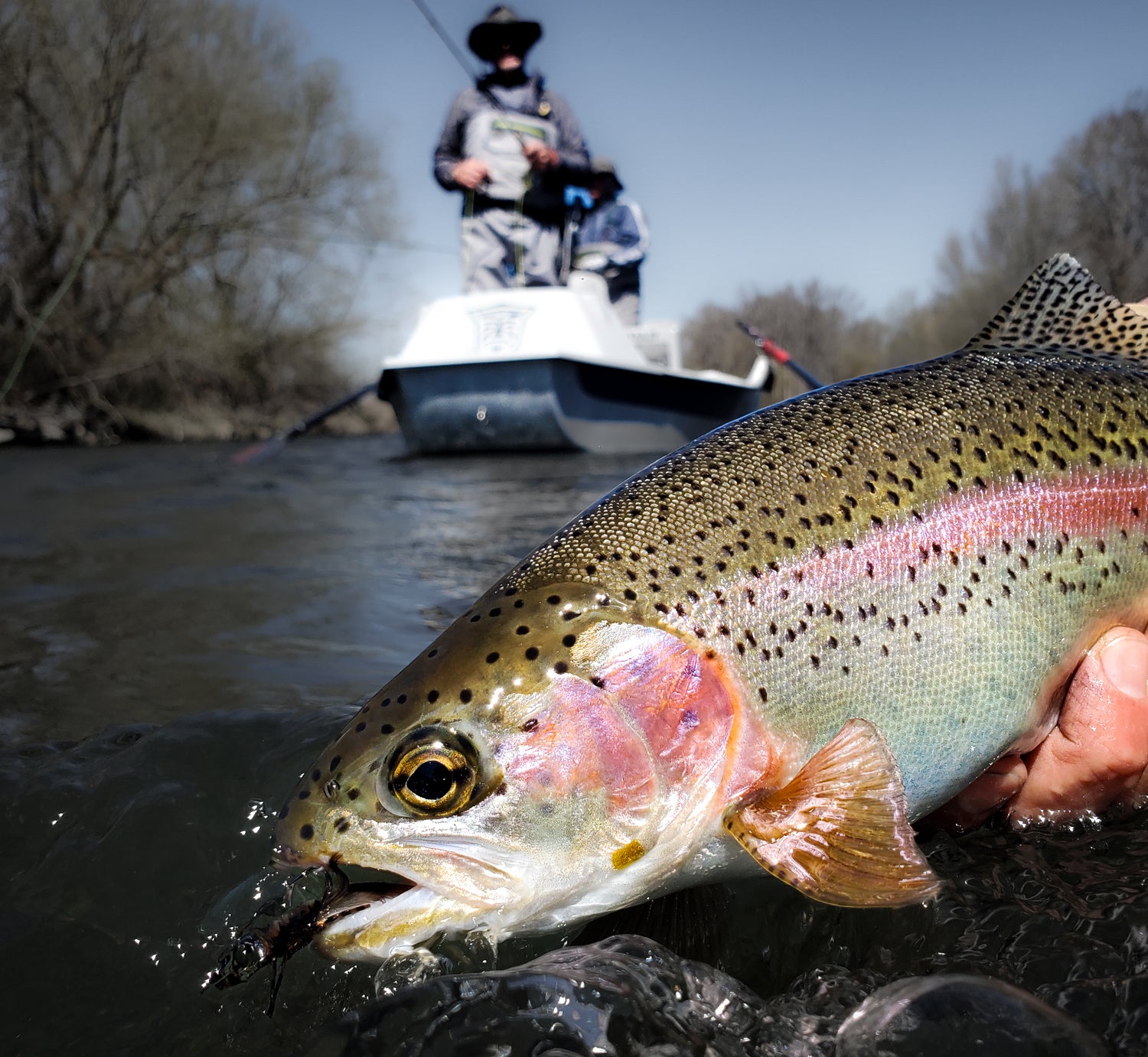 best fly rod fish grand canyon Cedar Elite Combo and line provide superior performance on the water Fishing with a DT4 fly