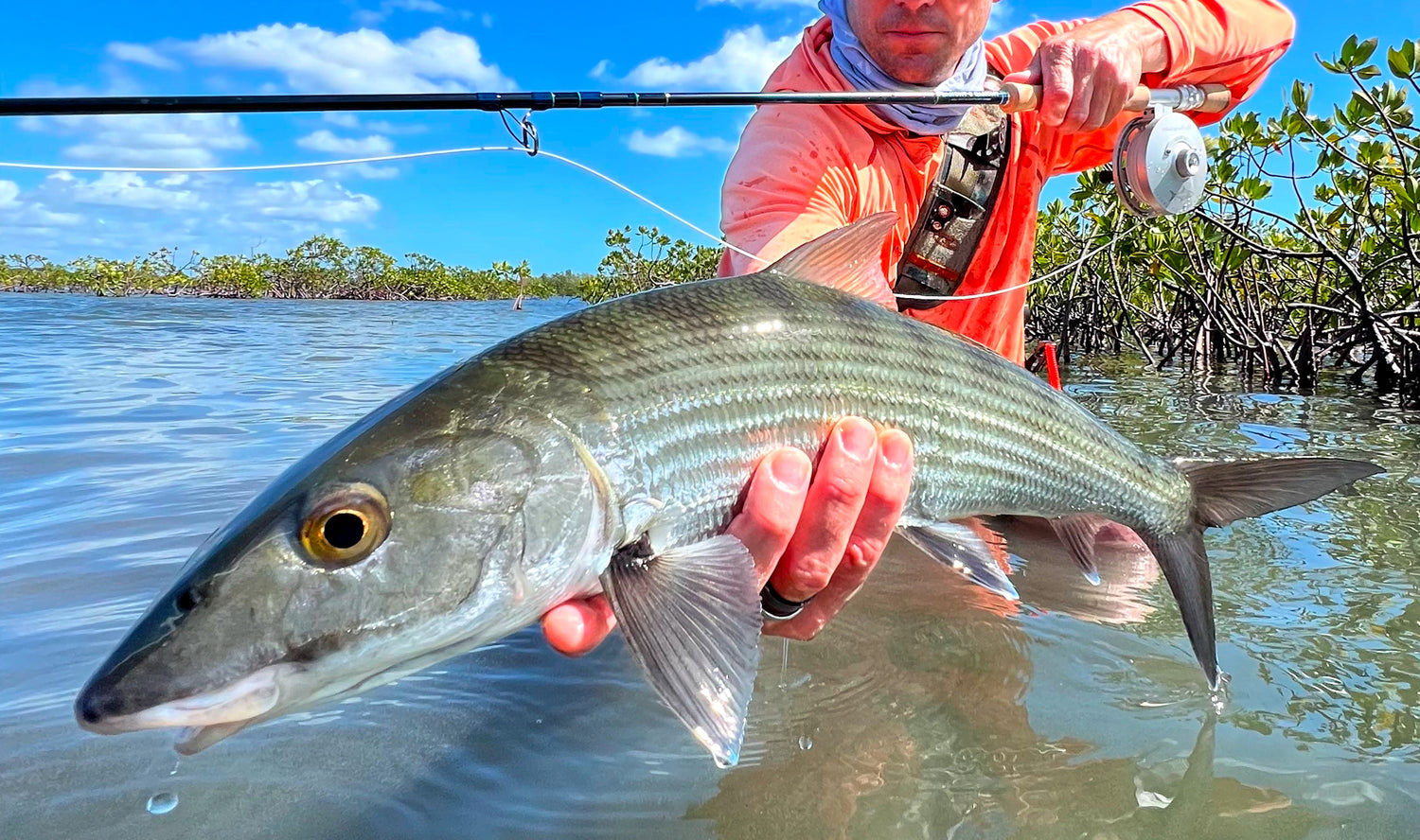 crooked island bonefish
