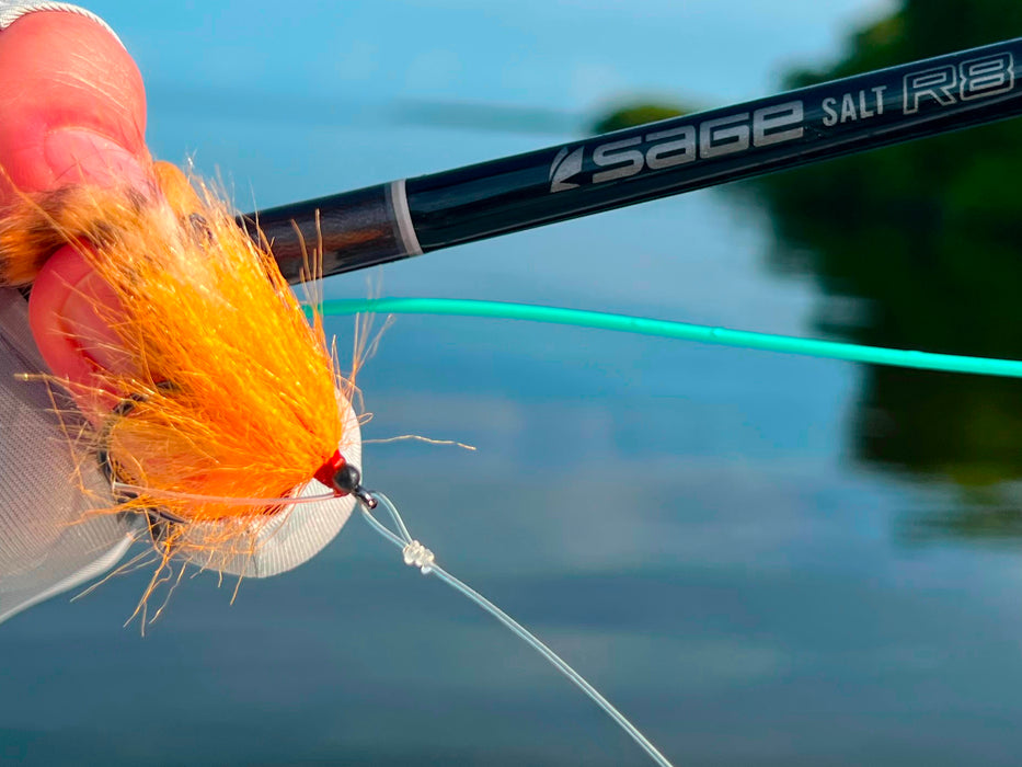 Leader Kit for Ascension Bay and Cuba Trips — Red's Fly Shop
